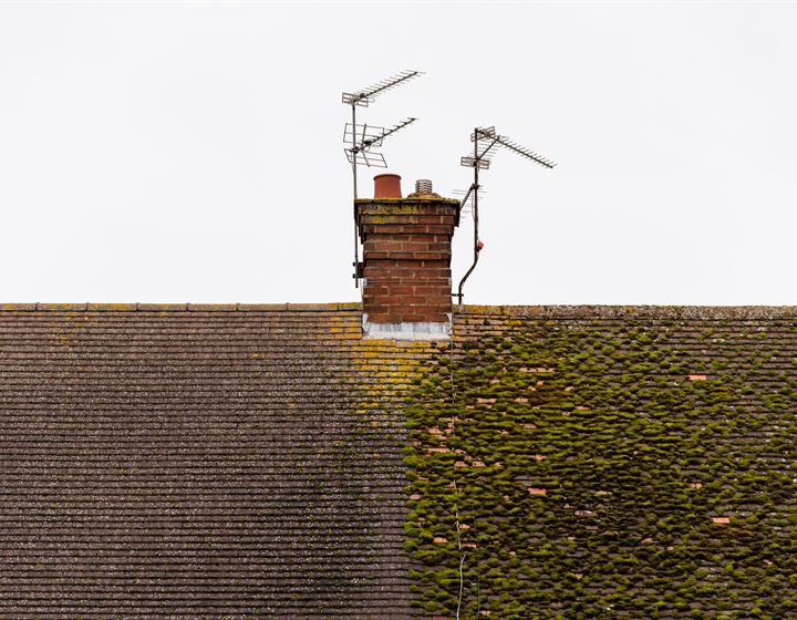 Moss Removal by Validus Roofing